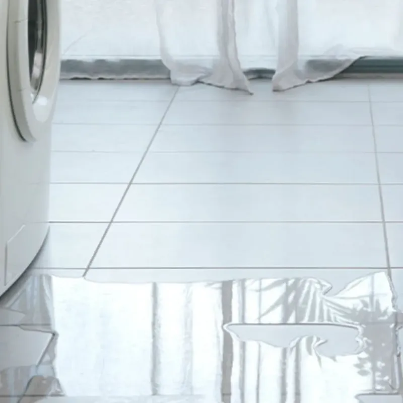 Appliance Leak Cleanup in Effingham County, GA