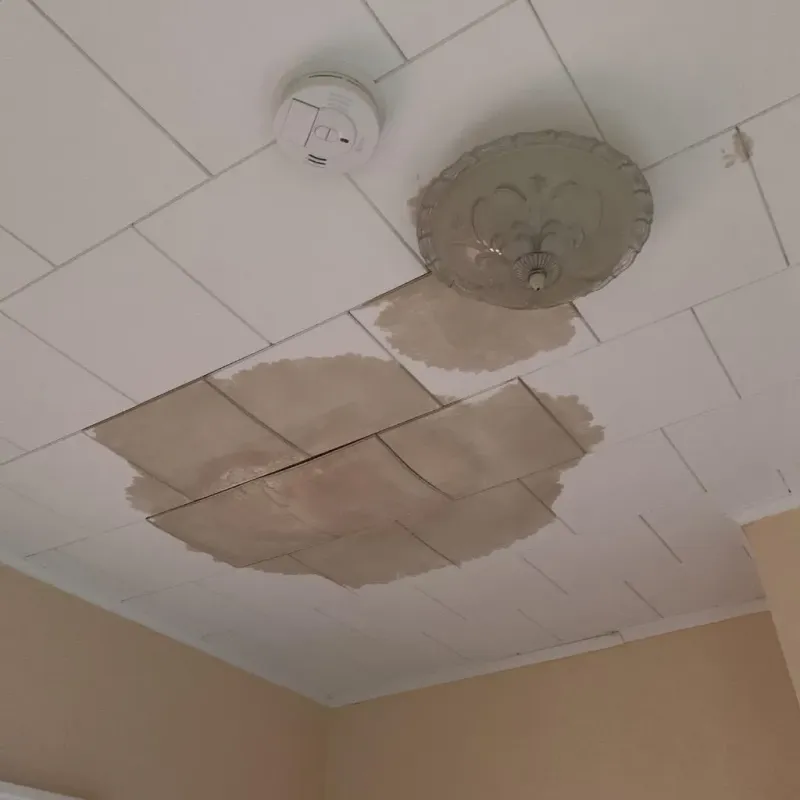Ceiling Water Damage Repair in Effingham County, GA