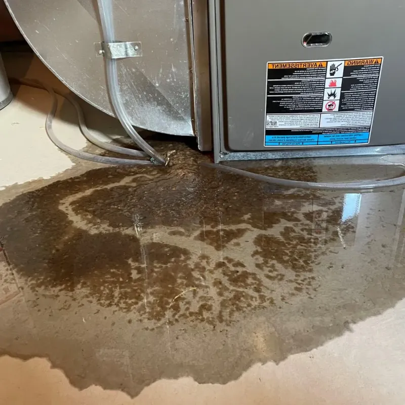 Pipe Burst and Leak Restoration in Effingham County, GA