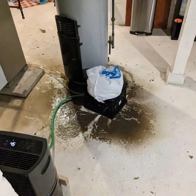 Sewage Backup Cleanup Service in Effingham County, GA